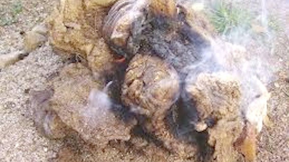 Quiso espantar mosquitos con bosta y termin� en tragedia