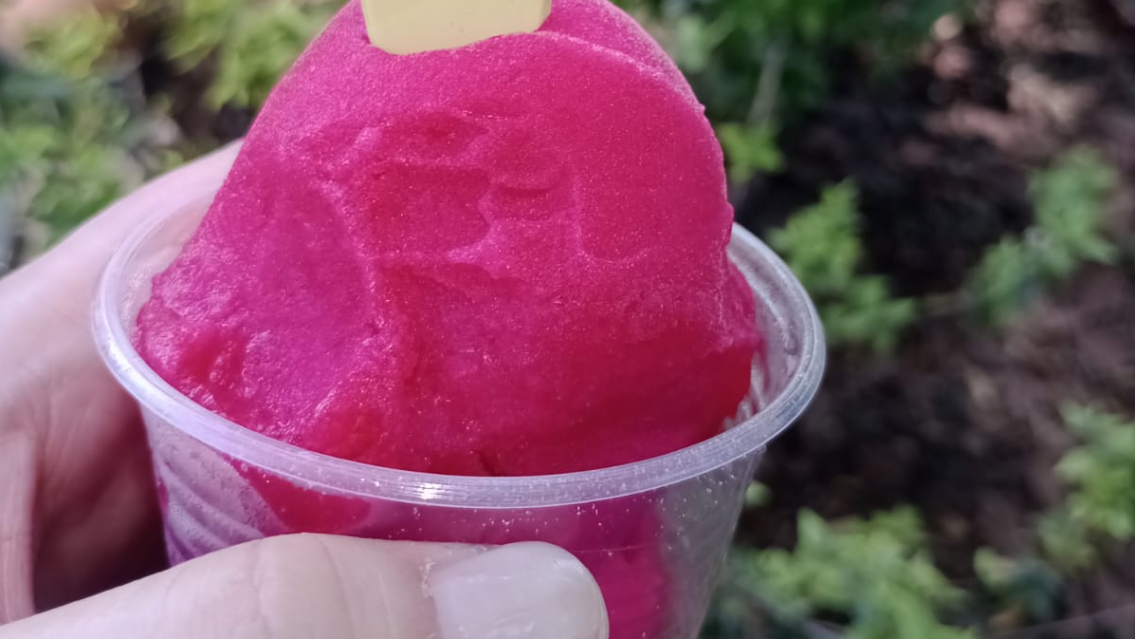 Achilata, una delicia tucumana ideal para esta temporada