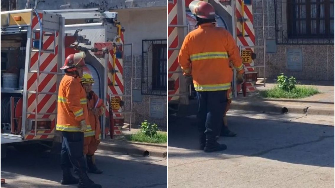 Un perrito murió electrocutado en un barrio jujeño: "podría haber sido un niño"