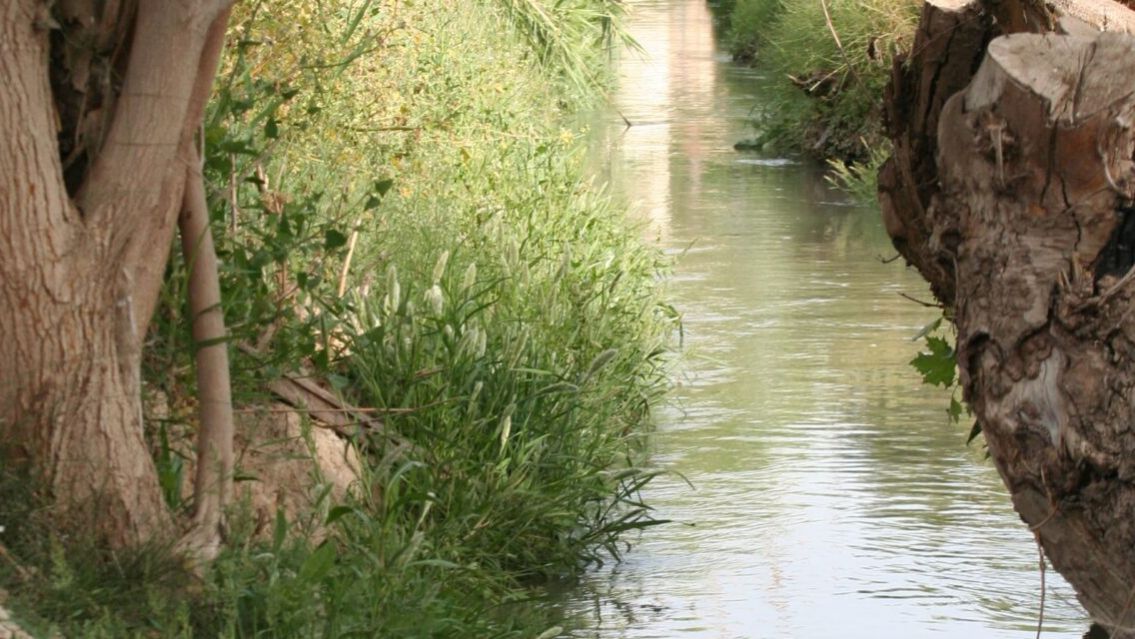 Macabro hallazgo en Jujuy: encuentran sin vida a un hombre en una acequia