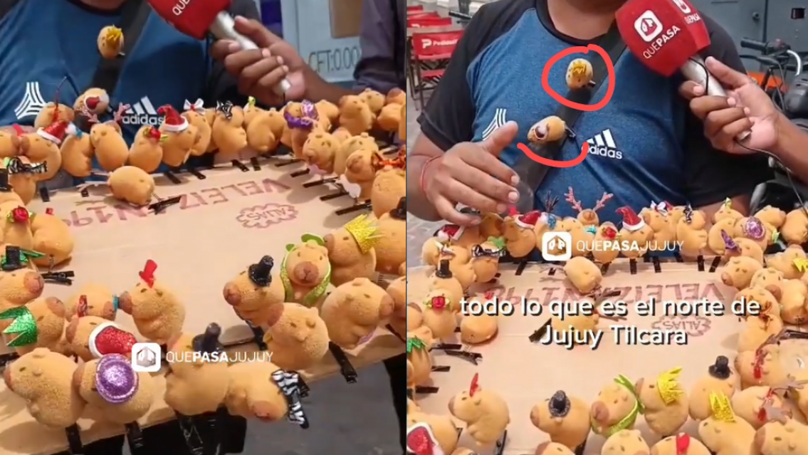 Locura en el centro por las "Capibaras Kawaii": cuestan tan solo $1.000