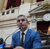 En medio de la polémica, Martín Menem fue reelecto como presidente de la Cámara de Diputados