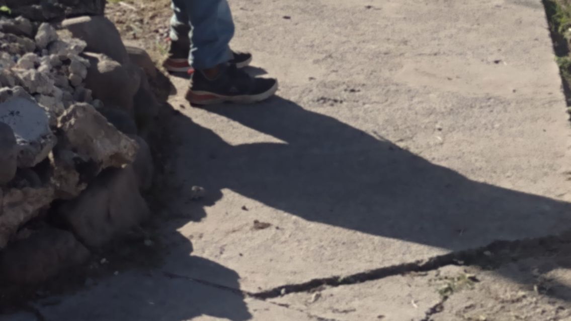 Changuito apareció durmiendo en una calle de Alto Comedero: buscan a su familia