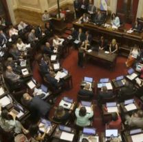 El Senado expulsó a Edgardo Kueider