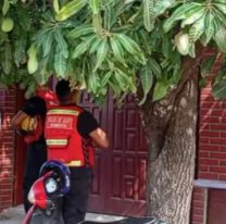 Hay avances en la causa de la pareja que muri&oacute; en Fraile Pintado: Los detalles