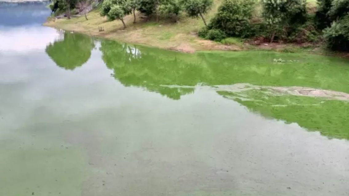 Misterio en un dique de Jujuy: apareció con manchones verdes