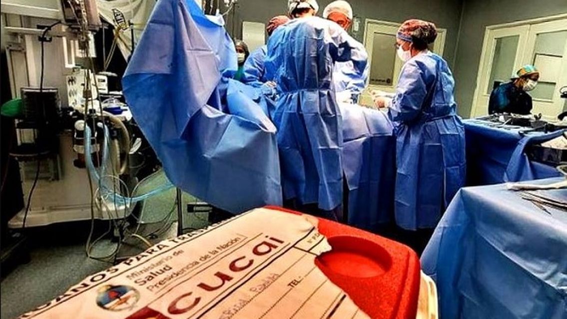 Jujuy alcanza 77 ablaciones de �rganos en 2024 gracias al compromiso de la comunidad