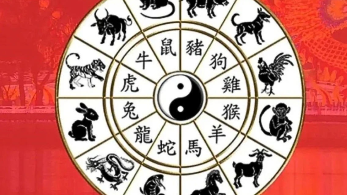 Año de la Serpiente en el Horóscopo Chino, qué significa: