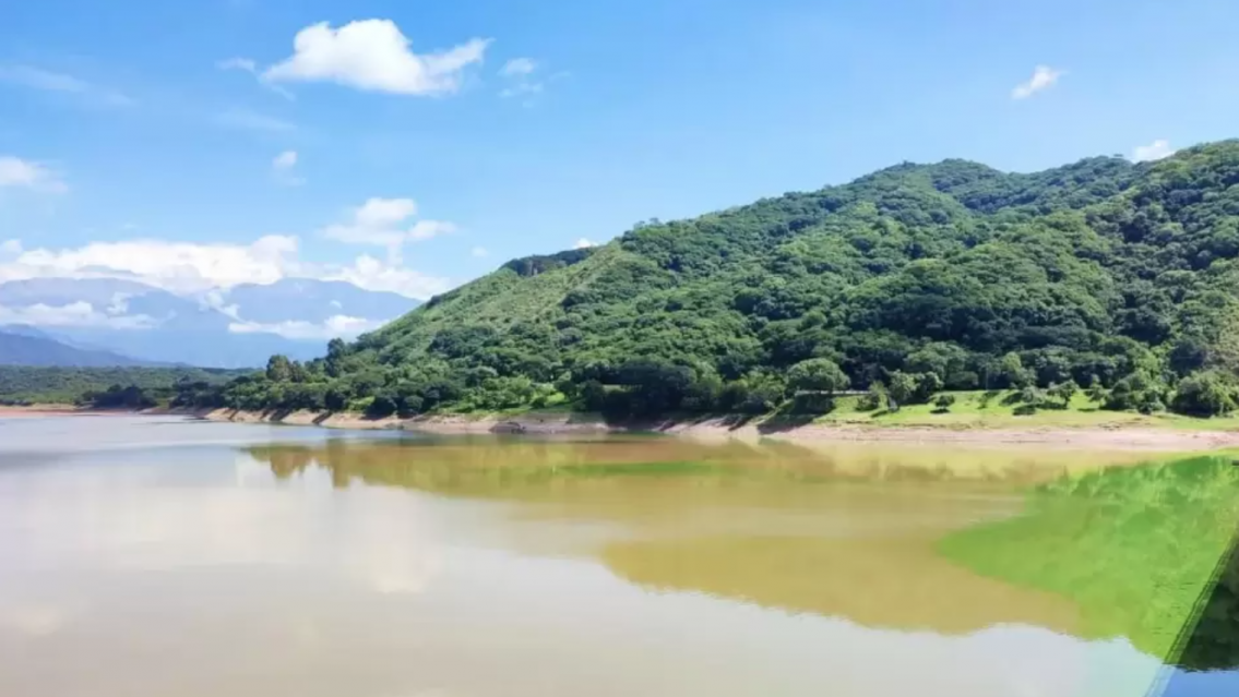 Contaminación por algas en el dique Los Alisos: siguen las actividades suspendidas