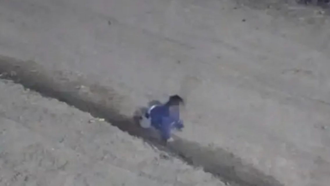 Desesperaci�n en Jujuy: encuentran a un beb� de 1 a�o gateando�solito por una calle