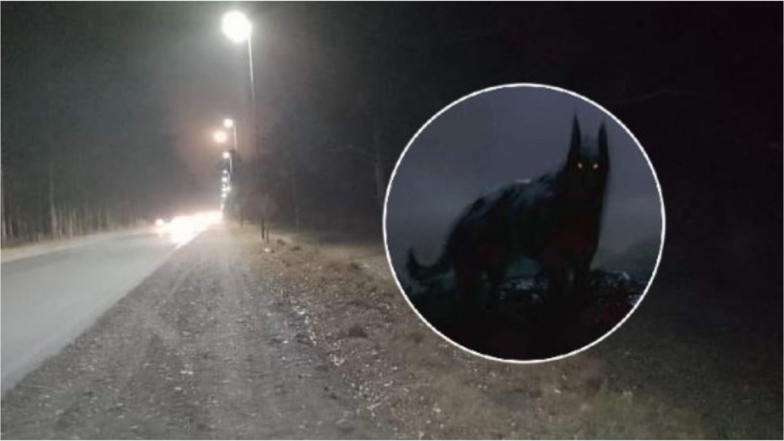 Aseguran que el Familiar se escapó del Ingenio y se le apareció a una chica