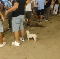 Pol&eacute;mica en Perico: un hombre llev&oacute; a su perrito a una carpa bailable