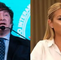 Javier Milei pidi&oacute; que se revise la custodia de Fabiola Y&aacute;&ntilde;ez