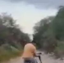 El diablo en persona: as&iacute; sorprendieron a un salte&ntilde;o con su perrito