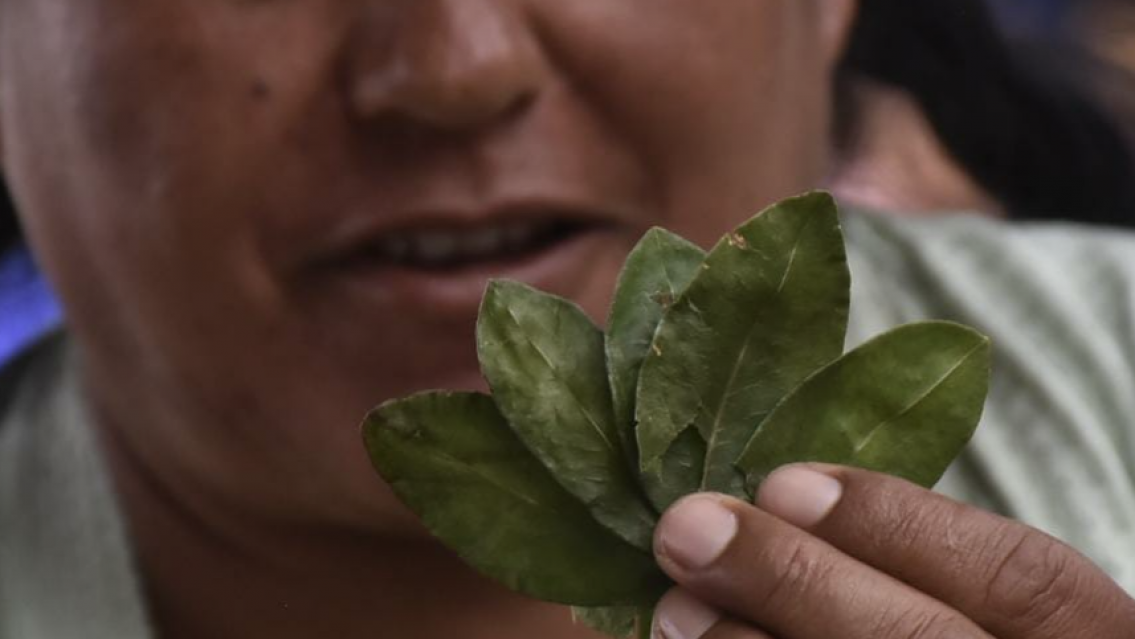 Guarda con esto, la enfermedad que sería causada por la hoja de coca