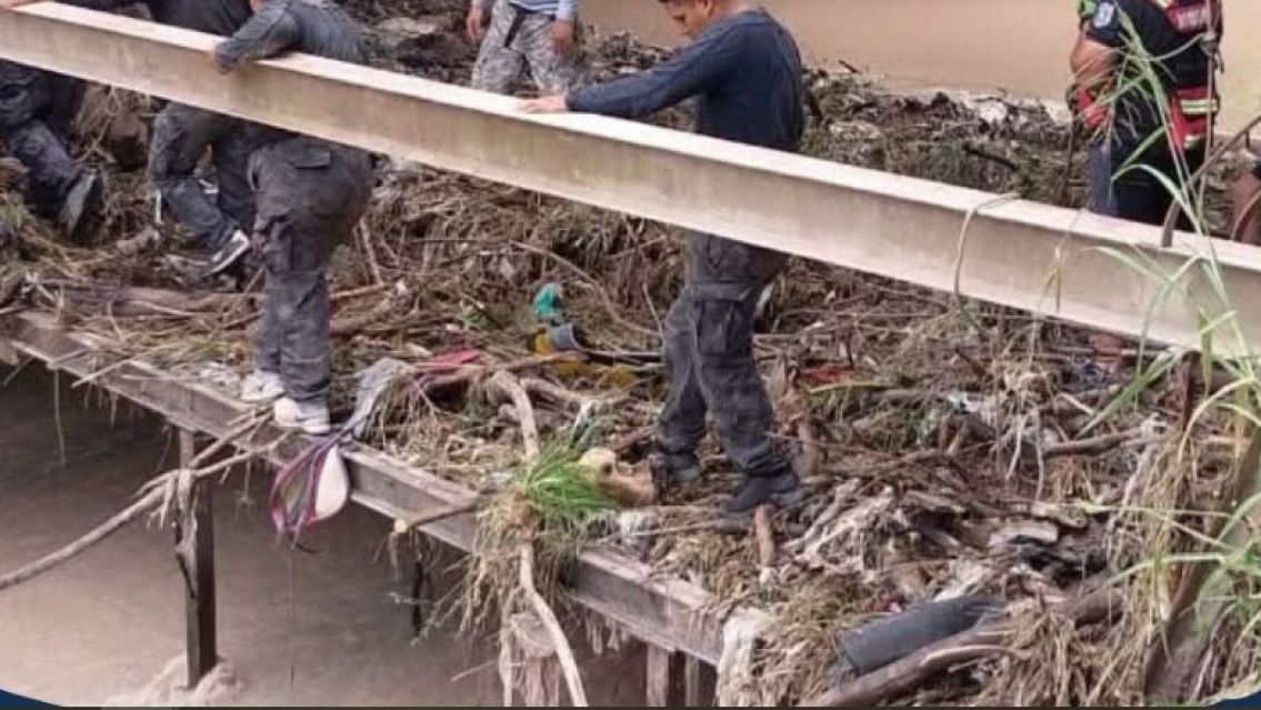 As� es el lugar donde hallaron el cuerpo de Nicol�s Brandan