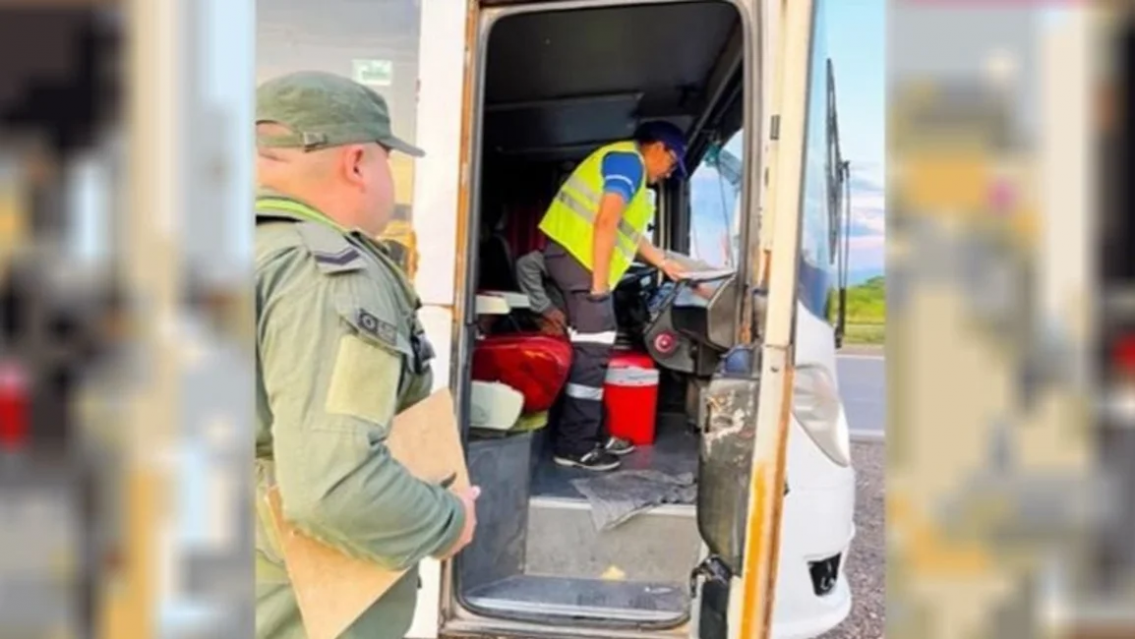 Control: detuvieron un micro y se dieron con dos terribles "sorpresas"