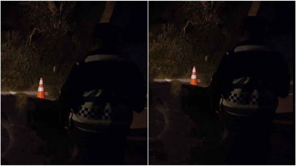 Lo fren� la polic�a y empez� a temblar del miedo: lo que encontraron en una camioneta