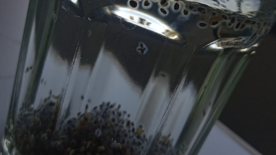 Guarda con el "agua de ch�a", lo que NO ten�s que hacer: