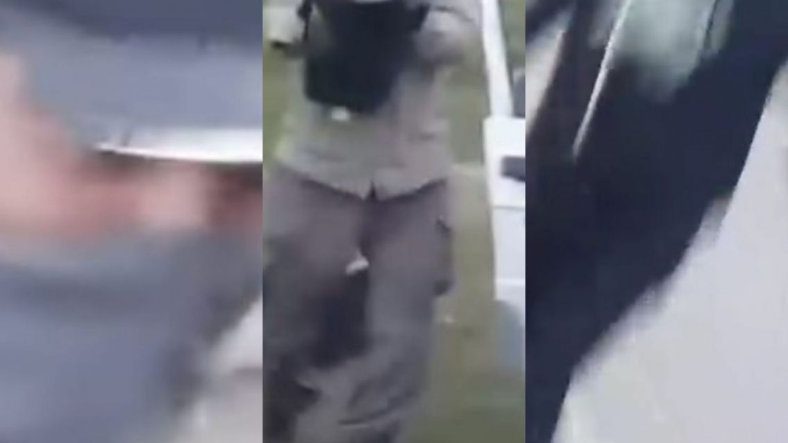 Se cansaron de los robos en Los Alisos y fueron a buscar a los chorros