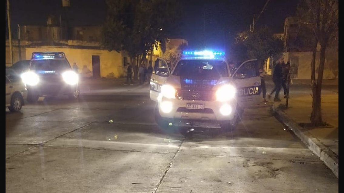 Chorros agarraron la pala, pero para salir a robar: se llevaron hasta al perrito