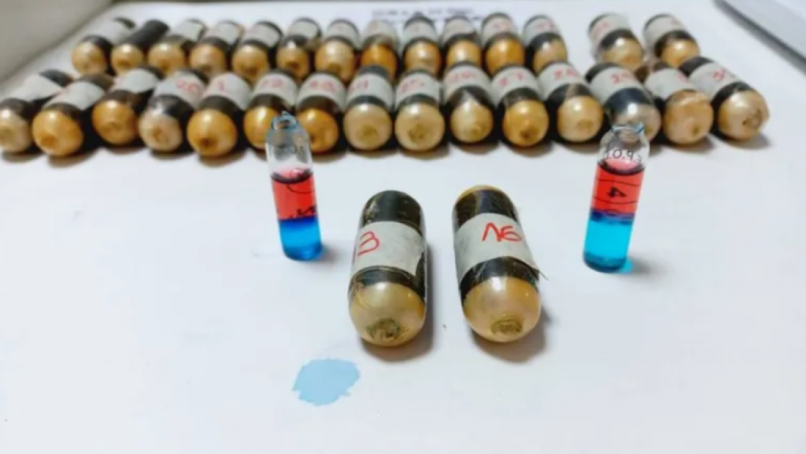 Dos bolivianos fueron detenidos en Jujuy: ten�an todo esto en sus panzas