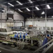 Encontraron sin vida a un joven dentro de una cámara frigorífica