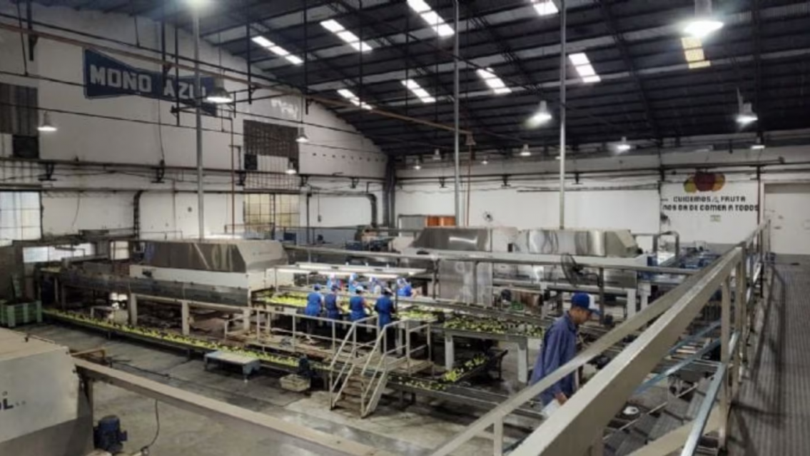 ¿Cómo pasó? Un chico fue encontrado sin vida dentro de una cámara frigorífica