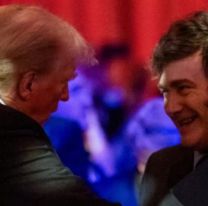 Javier Milei felicit&oacute; a Donald Trump y asegur&oacute; que "Argentina desea colaborar con EEUU"