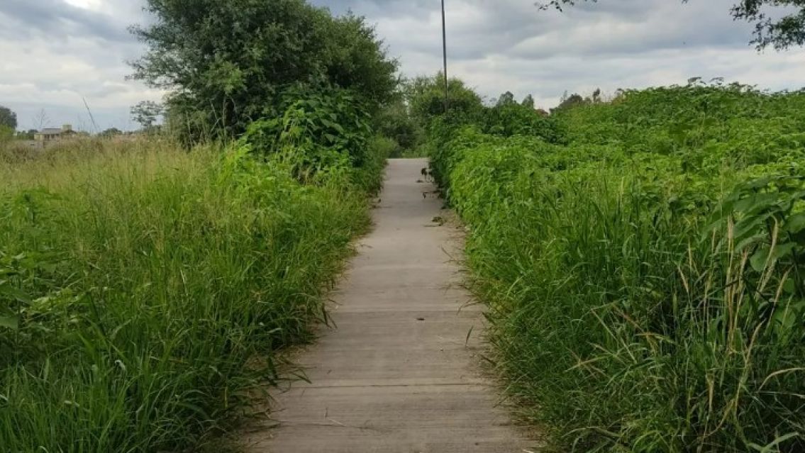 Indignación por el pésimo estado del Parque Belgrano: Es un peligro