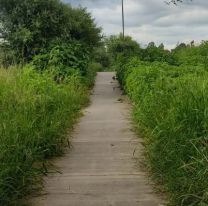 Indignación por el pésimo estado del Parque Belgrano: Es un peligro