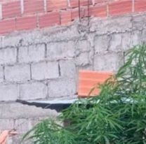 Vecinos sintieron un olor extra&ntilde;o, llamaron a la polic&iacute;a y se dieron con una sorpresa