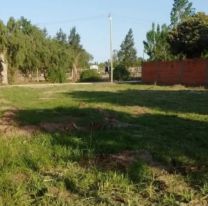 Terrible tragedia en Jujuy: limpiaba su terreno y muri&oacute; frente a su hijo