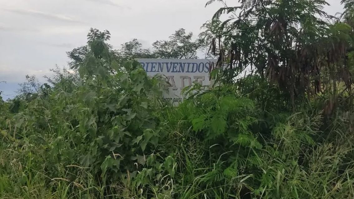 Vecinos de Alto Comedero ignorados: hacen "vaquita" alumbrado, desmalezado y limpieza