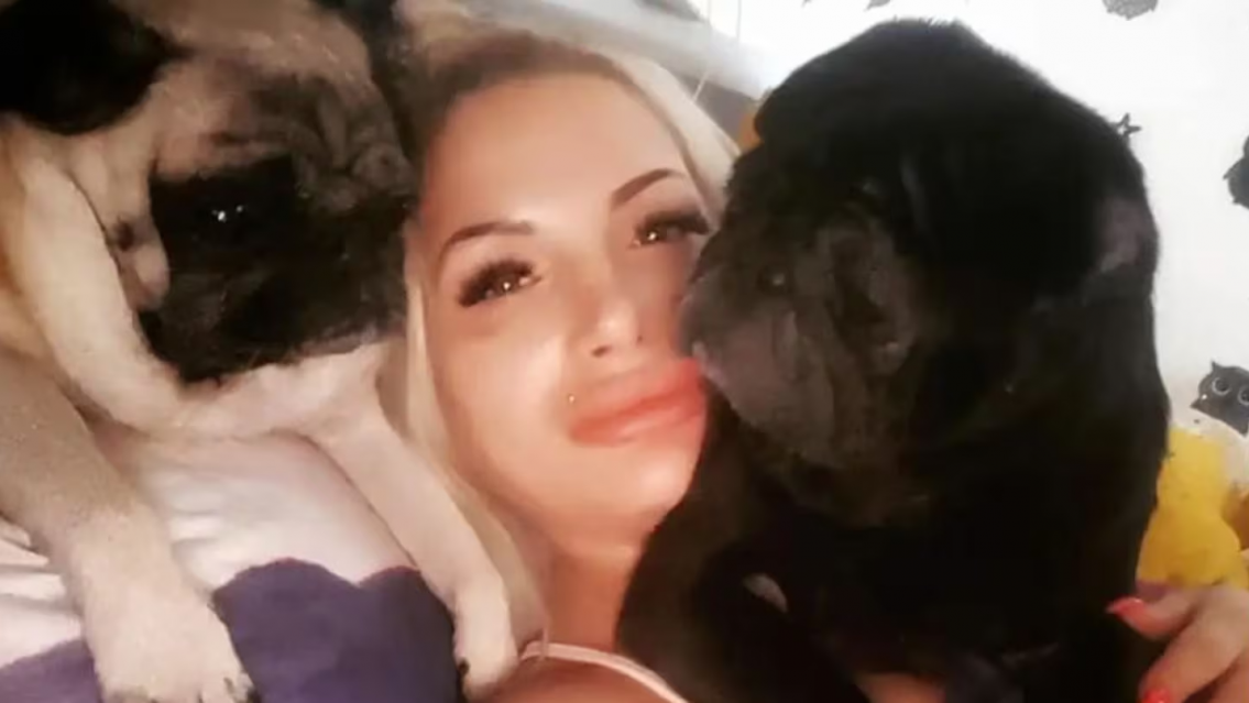 Parec�an "mansitos" pero se comieron a su humana: la chica muri� devorada por los perros