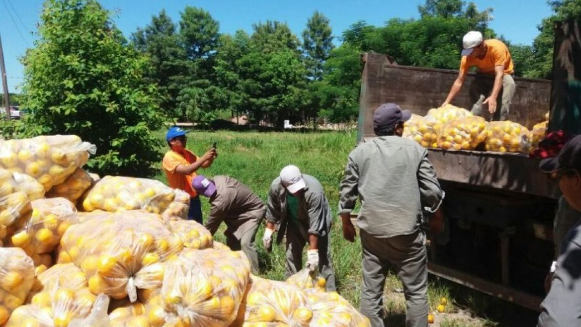 UATRE Ledesma exige pago de intercosecha tras demora de meses del gobierno