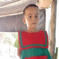 "El 98% del caso est&aacute; resuelto". &iquest;Qu&eacute; pas&oacute; con Loan? Habl&oacute; el abogado de la familia