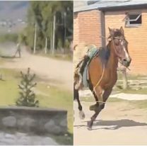 Las peores vacaciones: un nene fue trasladado de urgencia al hospital