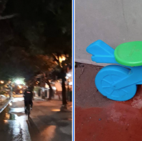 Jujeños se macharon en una plaza, despertaron a todos y se robaron un juego de niños