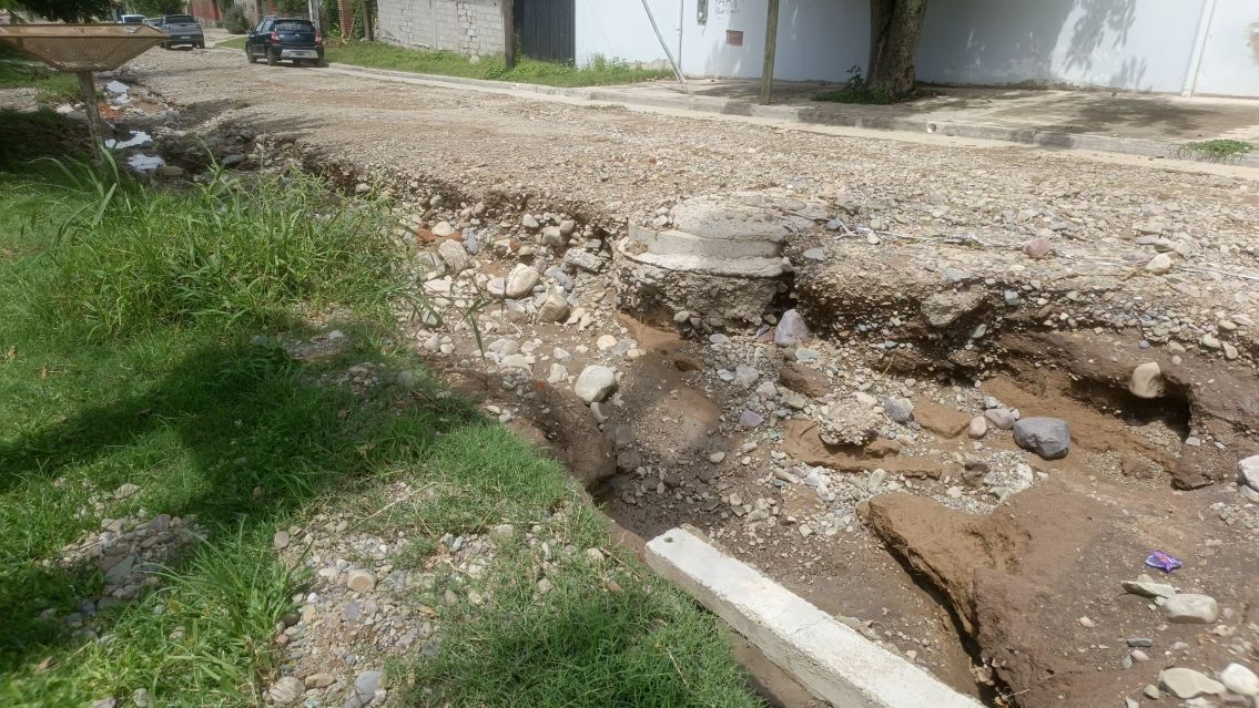Abandono total en Los Perales: así están las calles