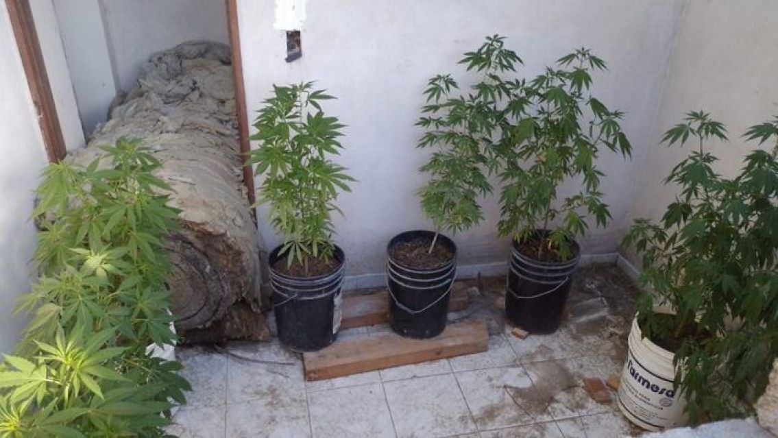 Juje�o se cans� de sus hijos y los entreg� por "fumancheros"