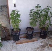 Juje&ntilde;o se cans&oacute; de sus hijos y los entreg&oacute; por "fumancheros"