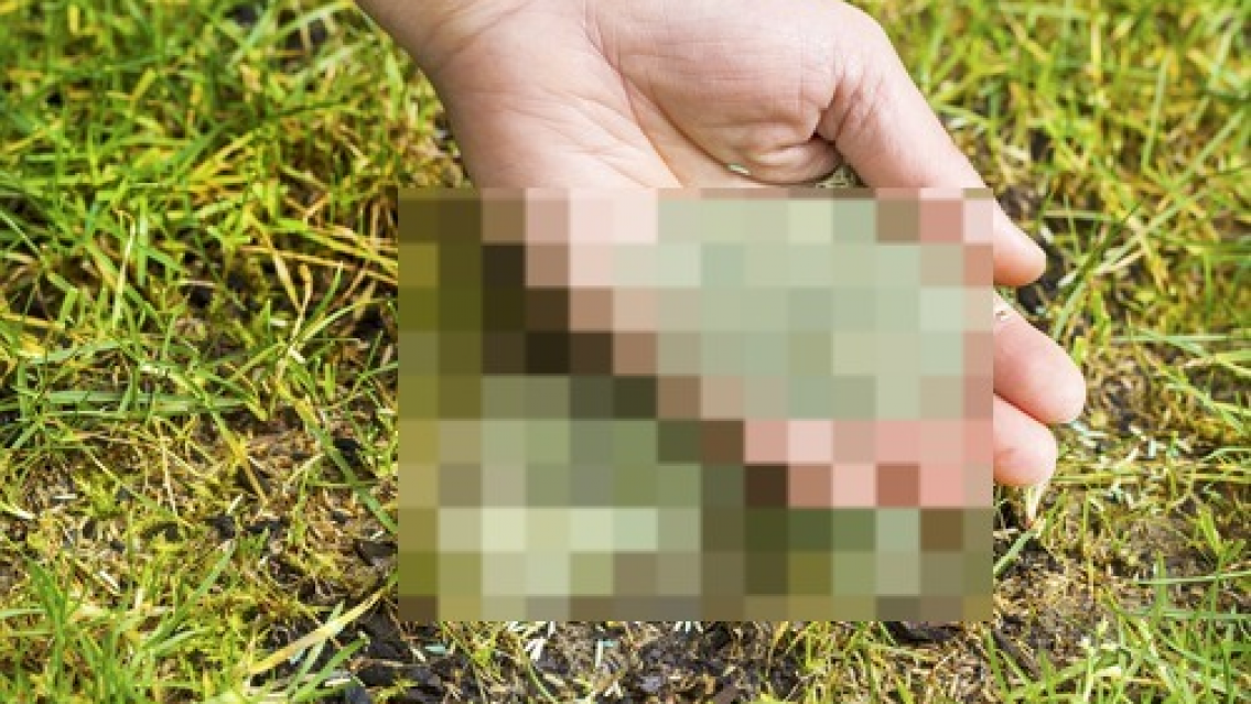 PELIGRO en Ciudad Cultural por posible envenenamiento