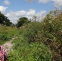 Horror en Jujuy por lo que pas&oacute; cerca de una escuela: la llevaron y le hicieron cosas horribles