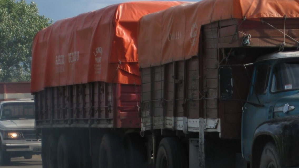 Asust� a todos: camionero vio un "ente" en la ruta y subi� el video