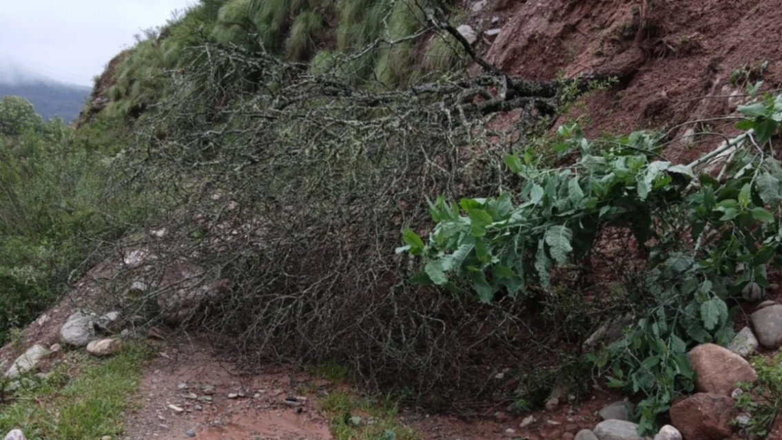 ALERTA DERRUMBE: corte total en Ruta 29