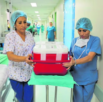 Siniestro vial: murió un joven norteño y donó todos sus órganos. Salvó varias vidas