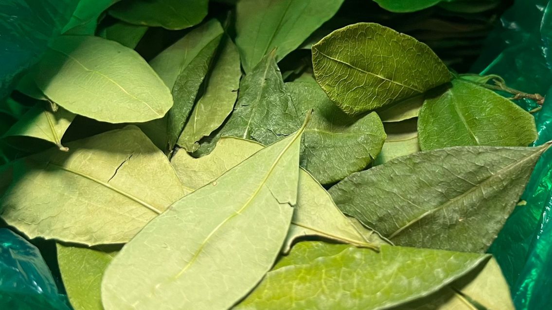 Tensión en la frontera con Bolivia: esto pasó con la hoja de coca