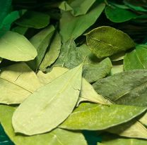 Tensión en la frontera con Bolivia: esto pasó con la hoja de coca
