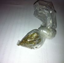 "Golpe al narcotr&aacute;fico": agarraron a un juje&ntilde;o con 43 gramos de marihuana